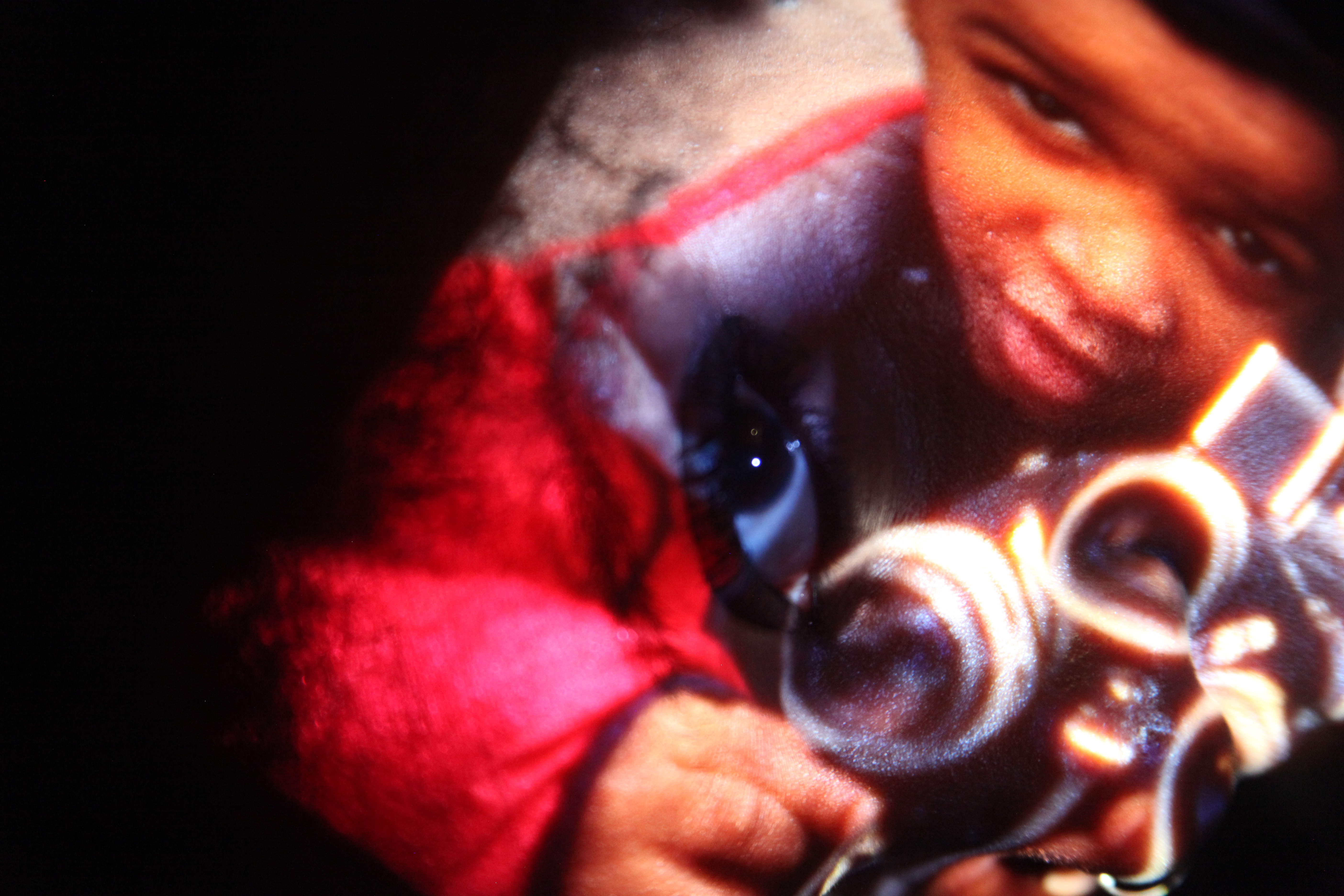 fiilm collective sonitaIMG_7431